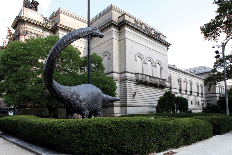 The Carnegie Museum of Natural History Rock & Gem Magazine