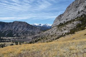 fossils-in-the-rocky-mountains