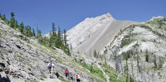 fossils-in-the-rocky-mountains