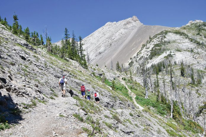 fossils-in-the-rocky-mountains