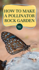 pollinator-rock-garden