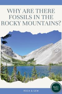 why-are-there-fossils-in-the-rocky-mountains