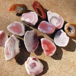 Exploring Australia’s Agate Creek agate-creek