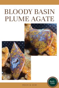 bloody-basin-plume-agate
