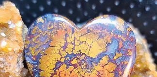 bloody-basin-plume-agate