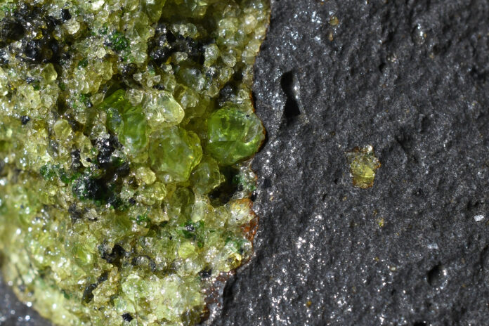 Closeup of Large Peridot (1-2 cm olivine crystals) in Lherzolite xenolith enclosed by basalt, Peridot Mesa, San Carlos Apache Tribal Land, Arizona Closeup of Large Peridot (1-2 cm olivine crystals) in Lherzolite xenolith enclosed by basalt, Peridot Mesa, San Carlos Apache Tribal Land, Arizona