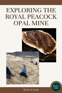 royal-peacock-opal-mine
