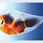 How to Make an Inside Curve on a Cab how-to-make-an-inside-curve-on-a-cab