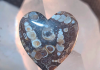 turritella-agate