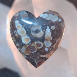 What to Cut: Turritella Agate turritella-agate