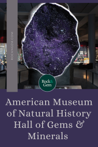 american-museum-of-natural-history 