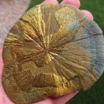 Pyrite Suns & Coal Mining pyrite-suns