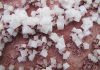halite-pass-the-salt