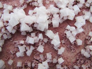 halite-pass-the-salt