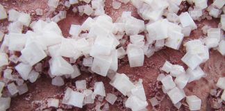 halite-pass-the-salt