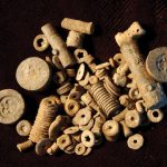 What Are Crinoid Fossils? crinoid-fossils