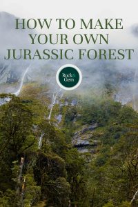 how-to-make-your-own-jurassic-forest