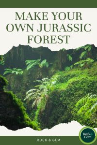 make-your-own-jurassic-forest