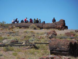 how-to-plan-a-rockhounding-road-trip