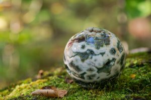 orbicular ocean jasper sphere with crystallized vugs from Madagascar on moss, bryophyta and bark, rhytidome in forest preserve