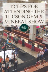 12-tips-for-attending-tucson