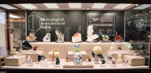 display at the gem and minearl shows in tucson