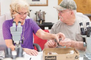 two rock club members looking at mineral specimens with microscopes