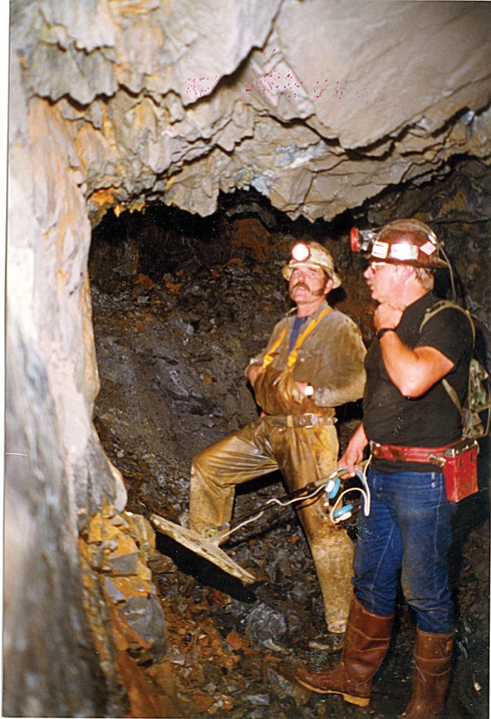 Can Metal Detectors Detect Rocks? Rock & Gem Magazine