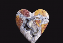 fallen-tree-thundereggs