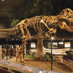 Exploring the Montana Dinosaur Trail montana-dinosaur-trail