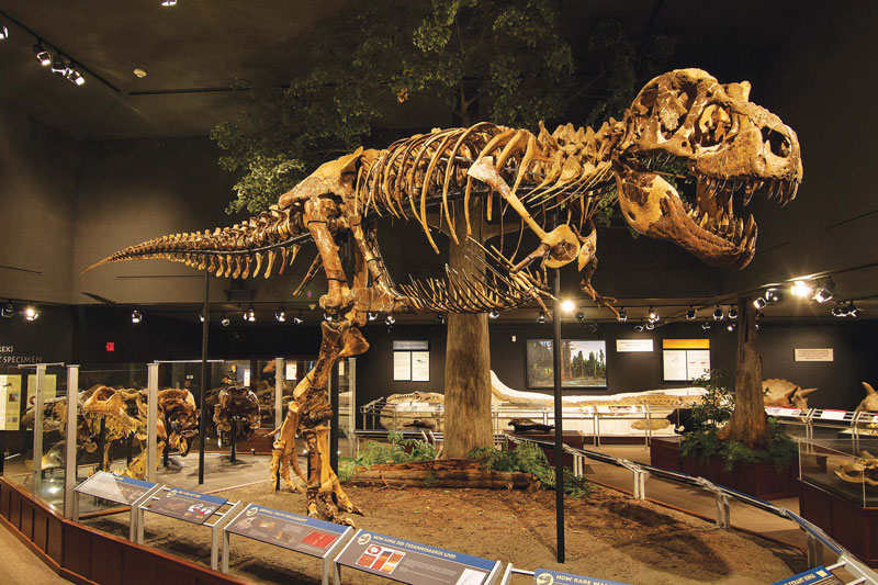 Exploring the Montana Dinosaur Trail Rock & Gem Magazine