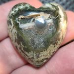 Fallen Tree Thundereggs from Oregon fallen tree thundereggs heart shaped cabochon