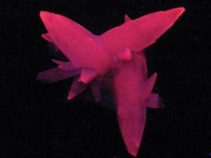 fluorescent-minerals