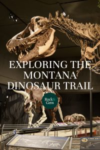 Deinonychus - The Montana Dinosaur Trail