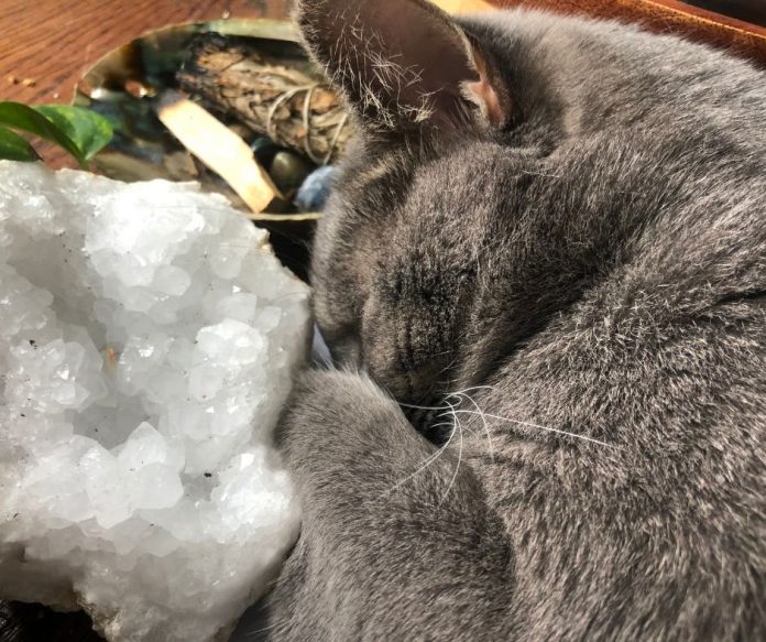 cats-and-crystals