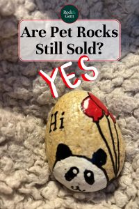 are-pet-rocks-still-sold