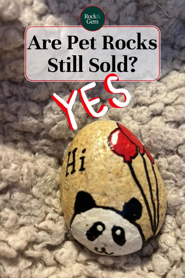 Pet Rocks Popular Are Pet Rocks Still Sold? - Rock & Gem Magazine