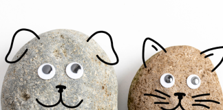 are-pet-rocks-still-sold