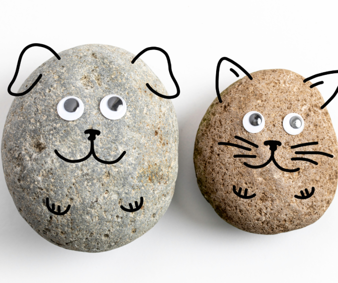 are-pet-rocks-still-sold