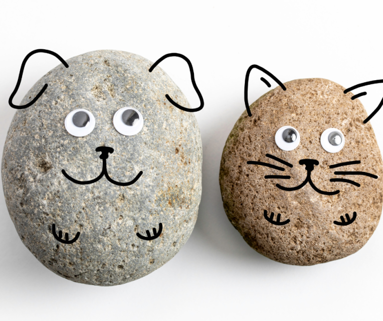 Are Pet Rocks Still Sold? Rock & Gem Magazine