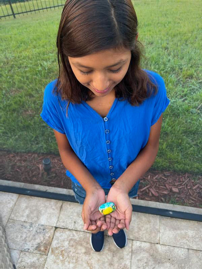 Are Pet Rocks Still Sold? Rock & Gem Magazine