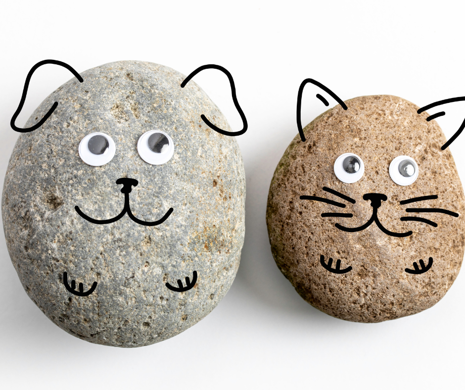 Pet Rock
