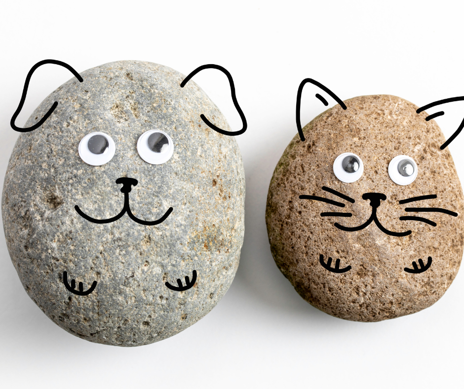 Are Pet Rocks Still Sold?