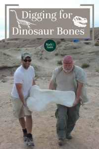 digging-for-dinosaur-bones