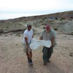 digging-for-dinosaur-bones