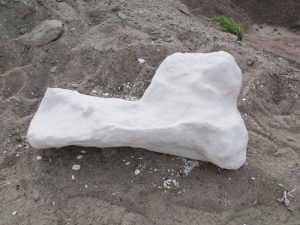 digging-for-dinosaur-bones