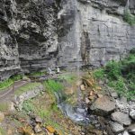 Helderberg Escarpment Fossils helderberg-escarpment