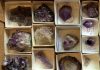 how-to-store-a-rock-collection-properly