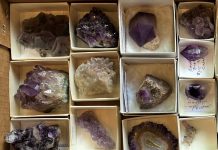How to Store a Rock Collection Properly how-to-store-a-rock-collection-properly