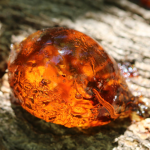 amber-stone